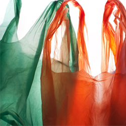 Plastic Bag Ban