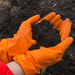 Environmental Soil Sample